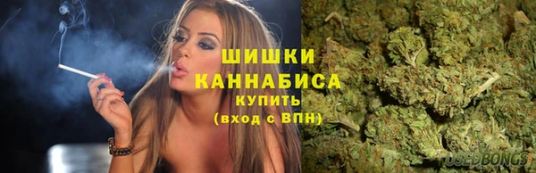 стафф Козловка