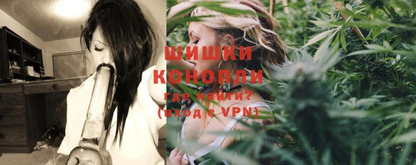 стафф Козловка