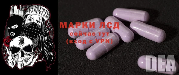стафф Козловка